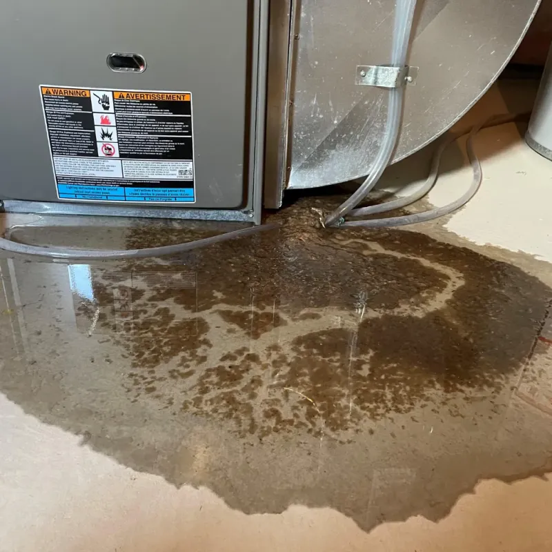 Appliance Leak Cleanup in Basin City, WA