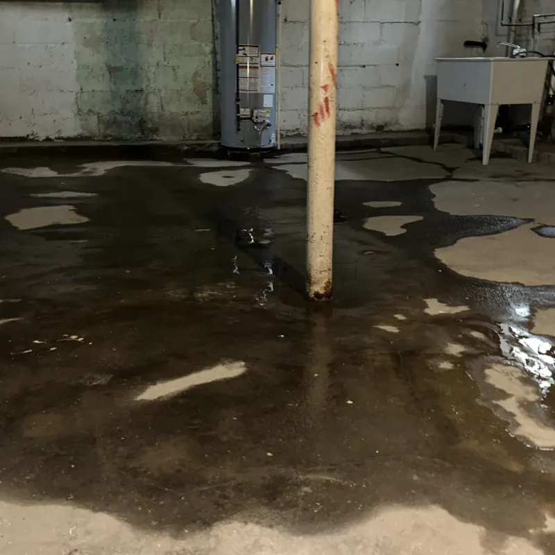 Emergency Water Extraction And Removal in Basin City, WA